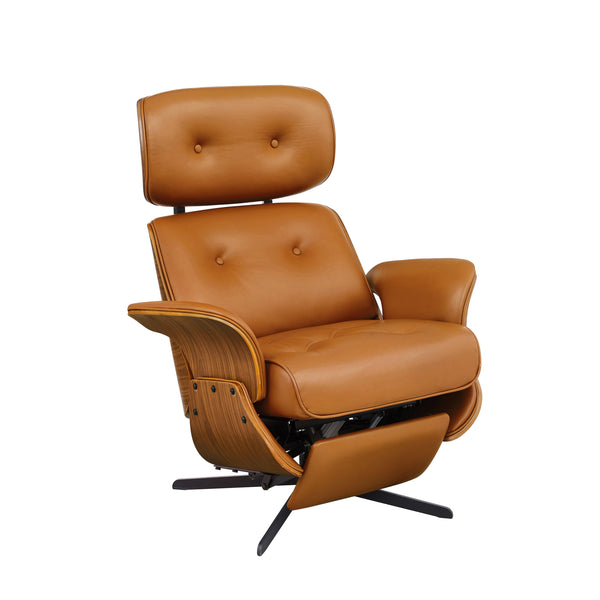 Art Leon Accent Chair, Electric Power Lift Recliner